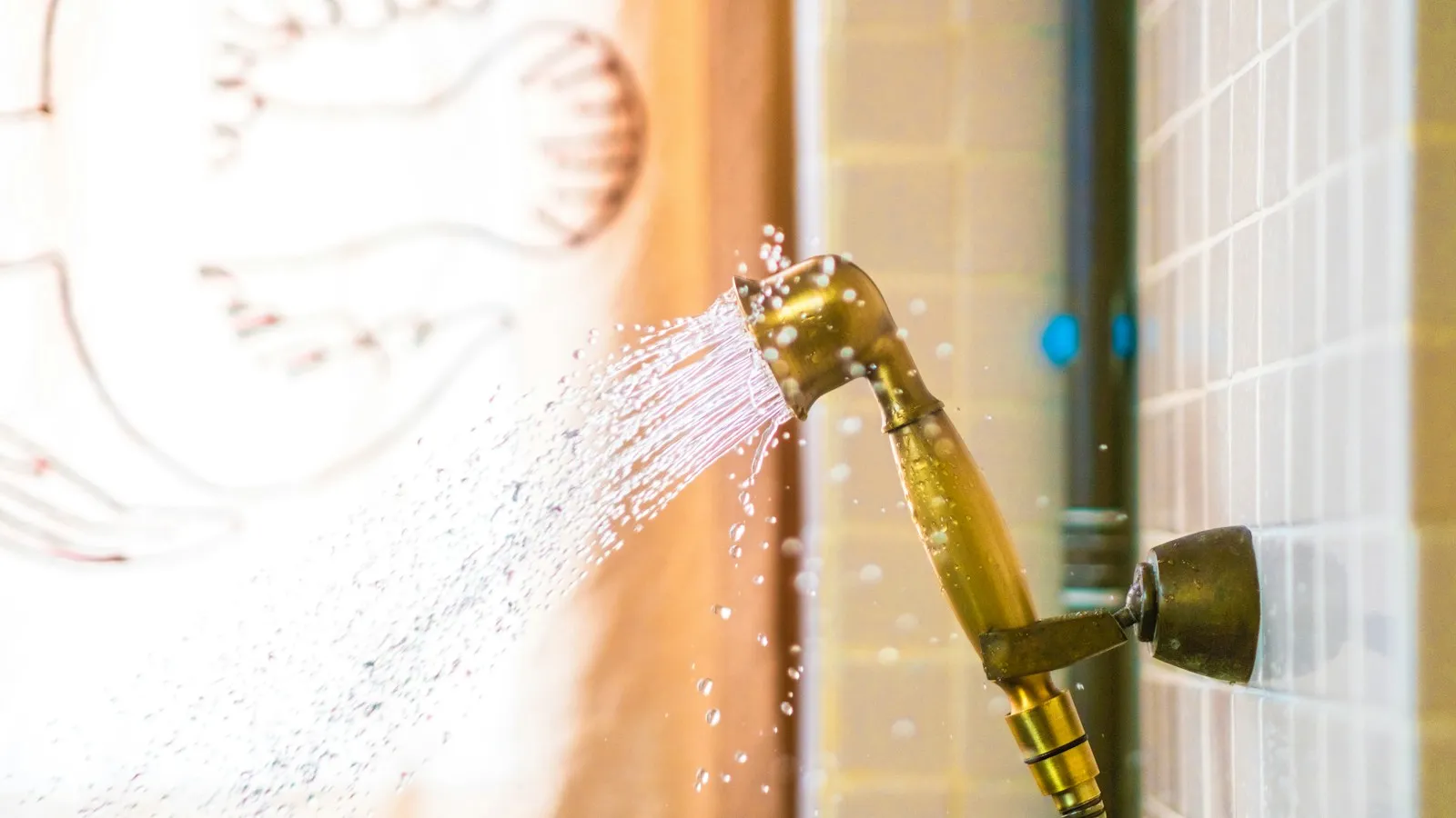 Brass handheld shower head spraying water